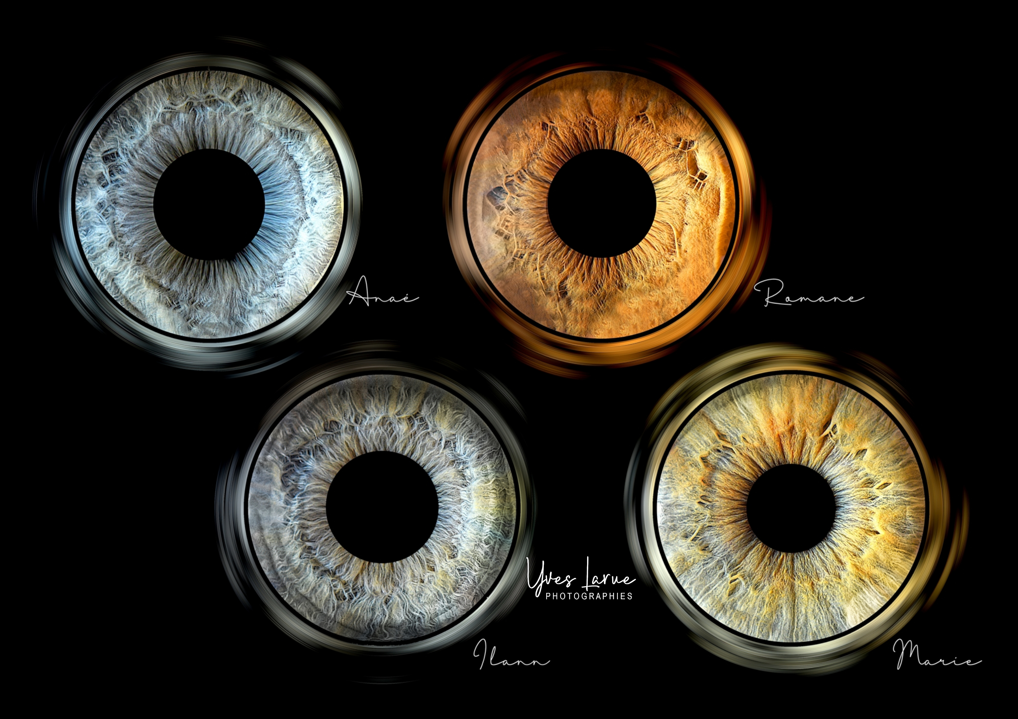 Art'iris